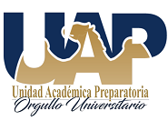 Aula Virtual